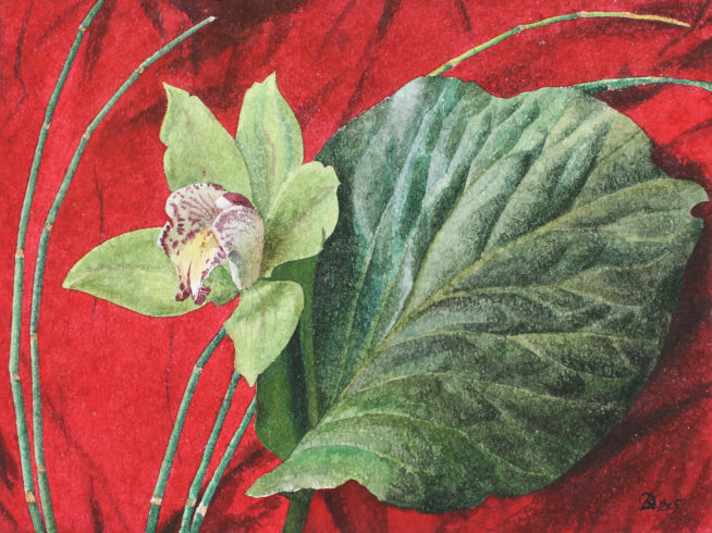 “Scarlet lake Lily» Daria Kirichenko. Graphics & art